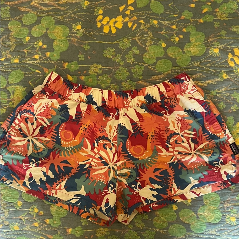 Patagonia baggies